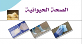 الصحة الحيوانية